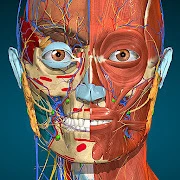 Anatomy Learning - 3D Anatomy Mod APK