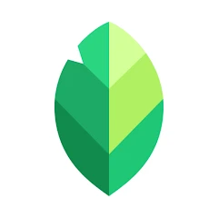Snapseed Mod APK