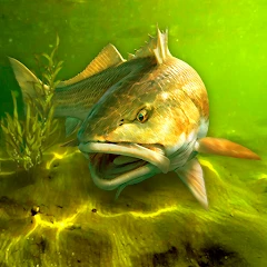 My Fishing World Mod APK